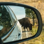 Day 32 – Speechless in Wyoming