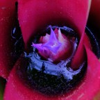 Day 111 – Aloha equals Paradise?